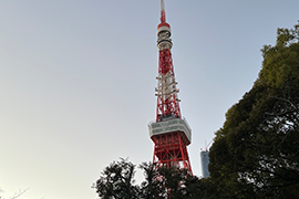 The Tokyo Tower at sunset