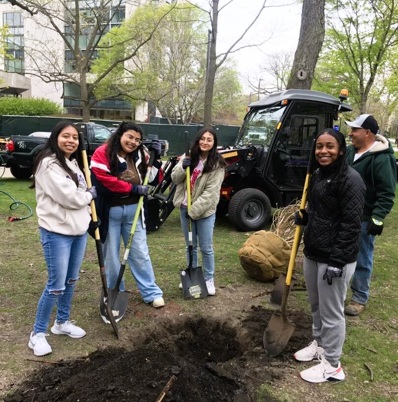 Four students stand around a tree planting site