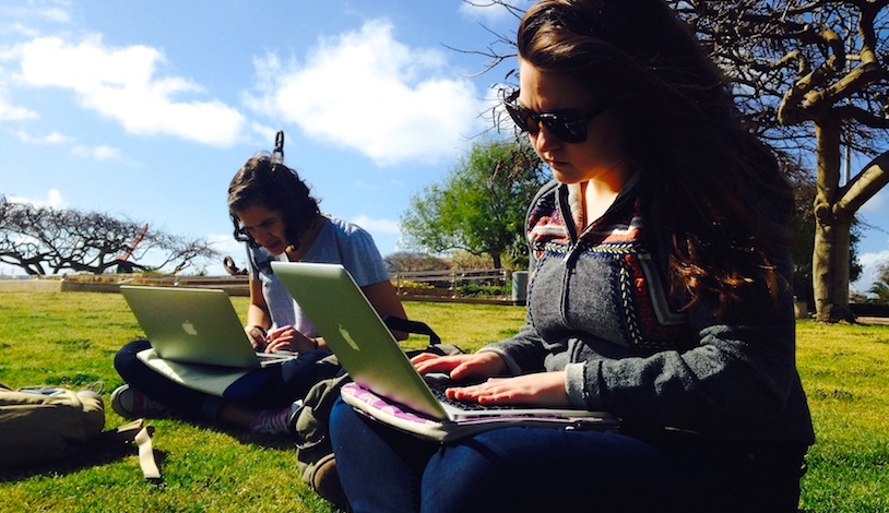 Students working on laptops