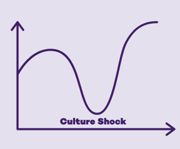 Culture Shock Graph