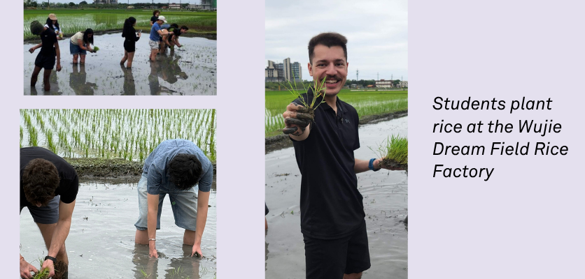 Students plant rice