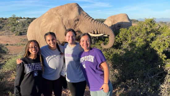Students posing with elephant