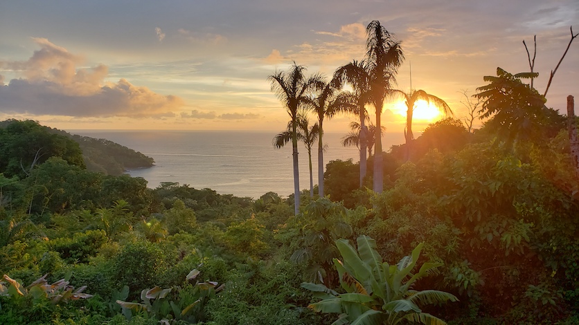 Sunset over palm trees in Costa Rica