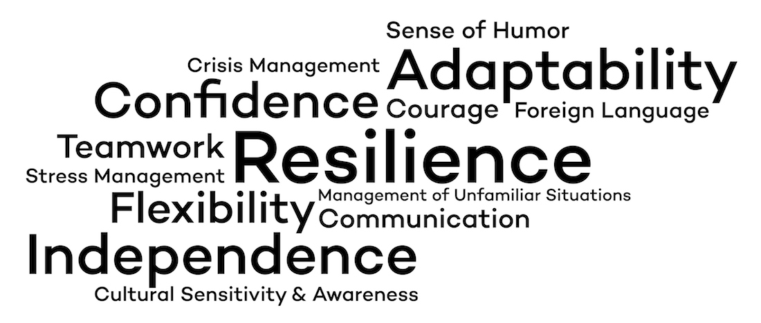 Resilience, Adaptability, Confidence, Independence, Flexibility, Teamwork, Sense of Humor, Communication, Courage, Crisis Management, Foreign Language, Stress Management, Cultural Sensitivity & Awareness, Management of Unfamiliar Situations
