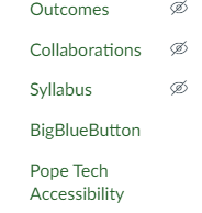 Pope Tech Accessibility option placement in Canvas menu