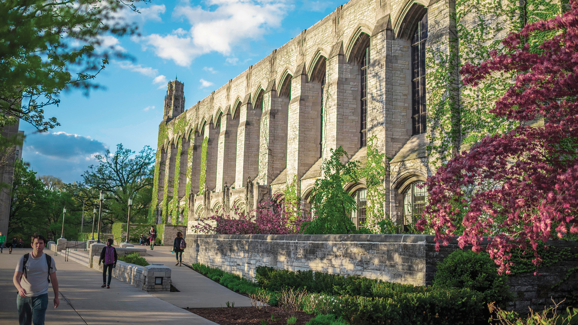 Deering Library background