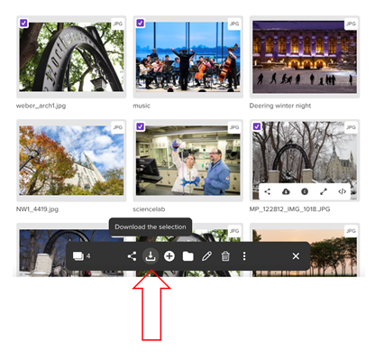 download assets tutorial