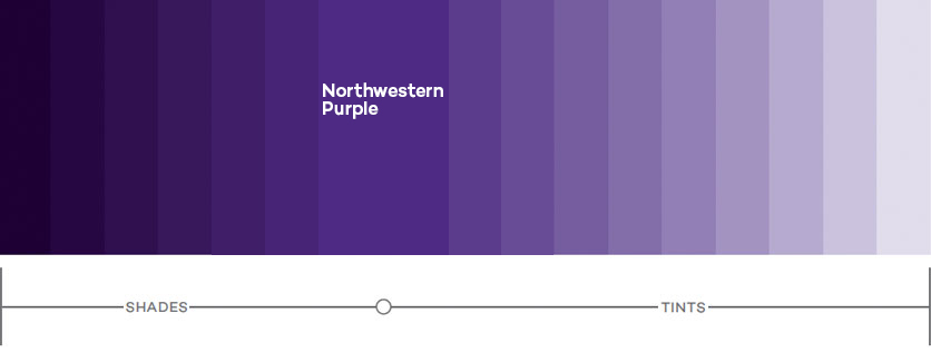 purple-scale.jpg