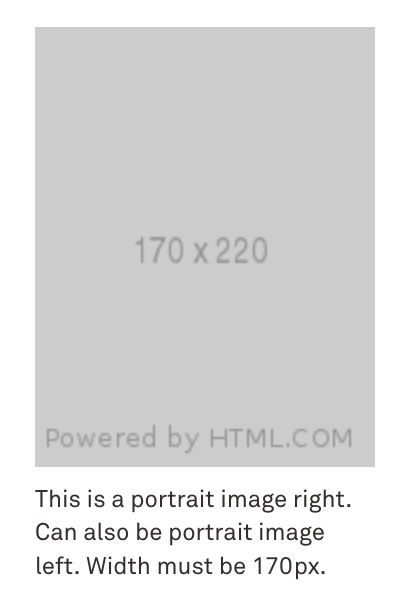 Image showing vertical image left caption class. Can also be vertical image right. Max width can be 240px. 