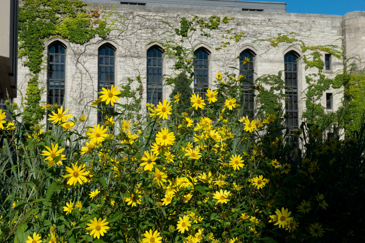 flowers in front of deering