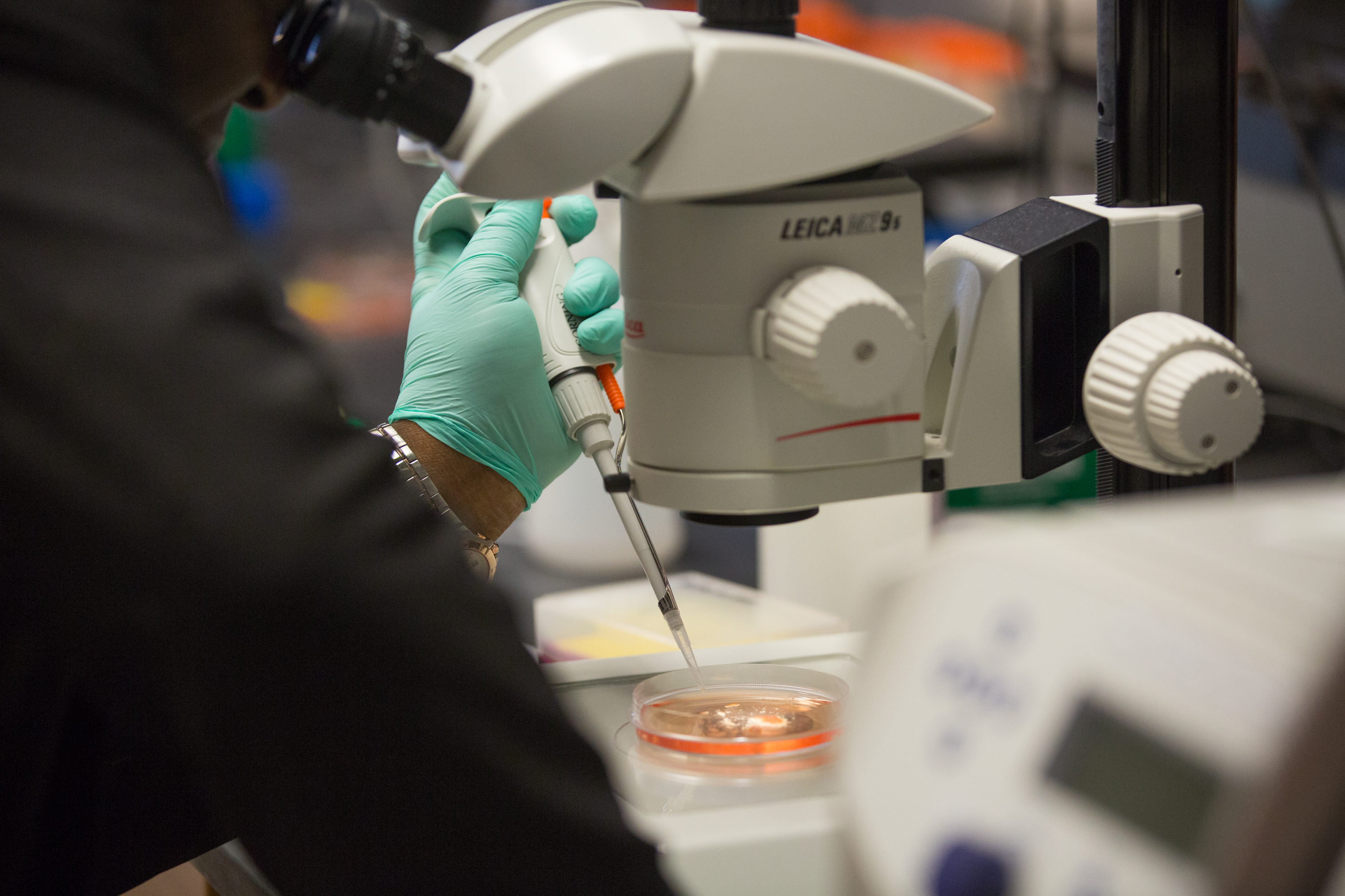 oncofertilityconference2018_nov15day3-04_emergingtechniques_057.jpg