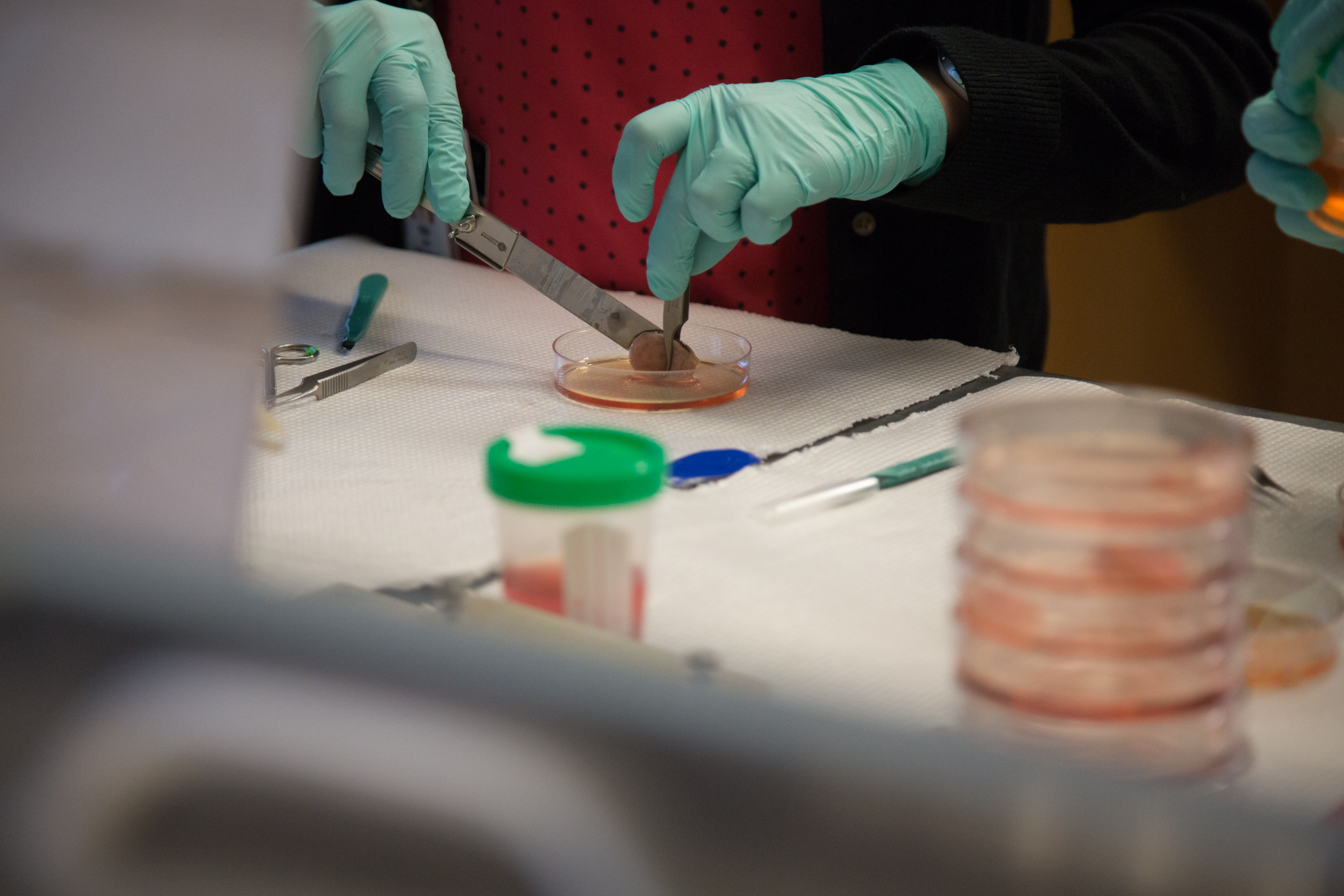 oncofertilityconference2018_nov15day3-04_emergingtechniques_073.jpg