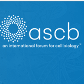 American Society for Cell Biology