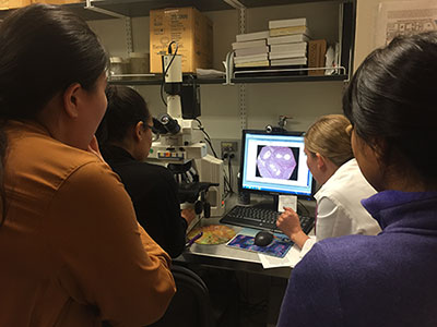 Students and instructor looking at a computer screen.
