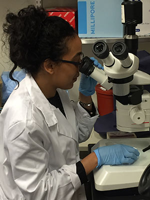 Student looking into a microscope in a lab.