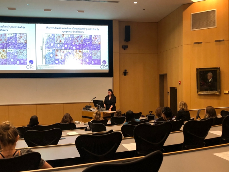 Yi Luan presenting