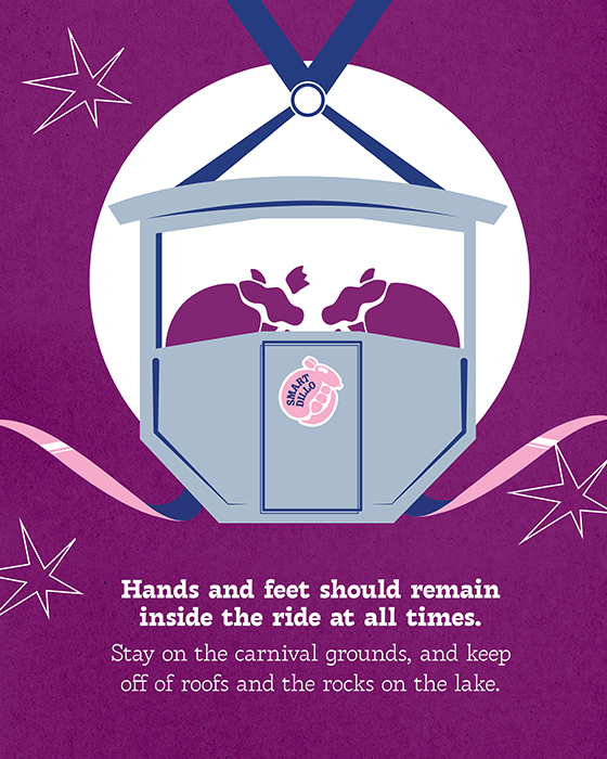 Stay Off Roofs & Rocks