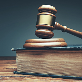 legal book and gavel