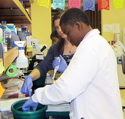 Image of students working in a lab.