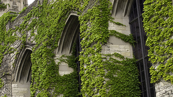 Campus beauty shot