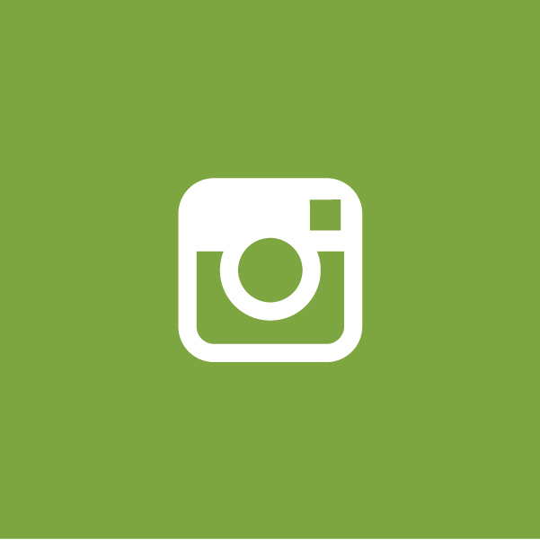 social-media-icons_instagram.jpg