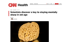 CNN story screenshot