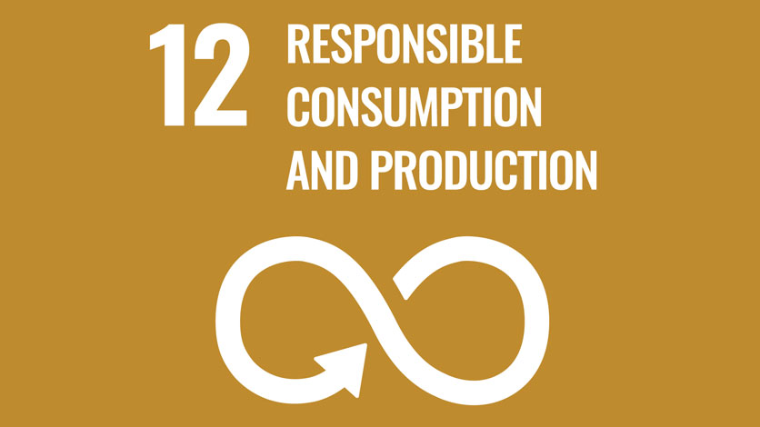 12. Responsible Consumption and Production