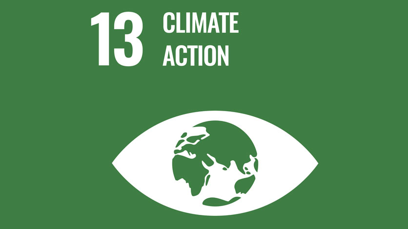 13. Climate Action