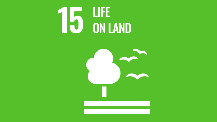 15. Life on Land