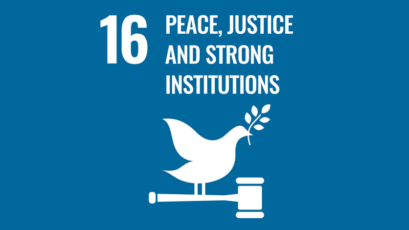 16. Peace, Justice and Strong Institutions