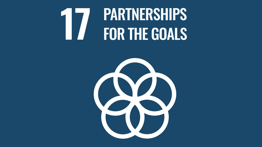 17. Partnerships for the Good