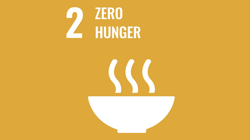2. Zero Hunger