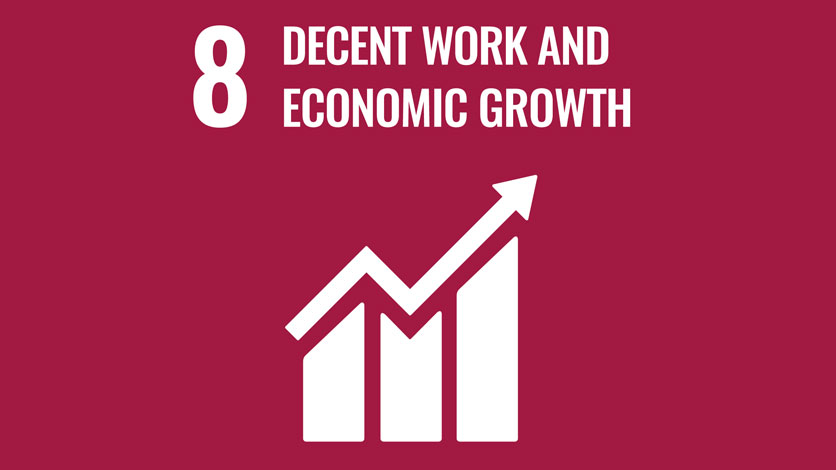 8. Decent Work and Economic Growth