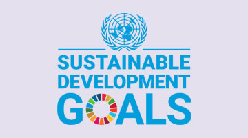 UN Sustainable Goals logo