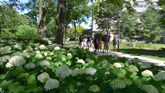 Group of students walking on campus