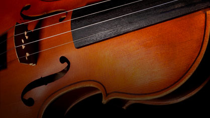 violin photo