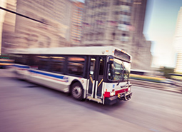 Bus