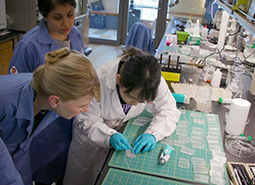 Biohub