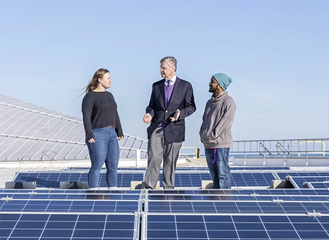 three people walking among solar panels