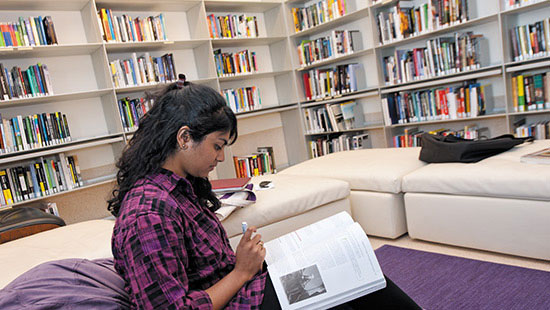 Photo of Student studying in the recent acquisitions area at the Library