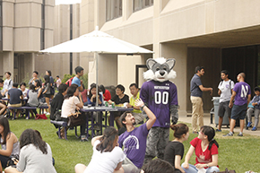 Facts about international students at Northwestern University