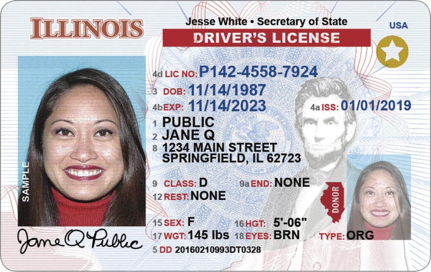 Sample driver's licence