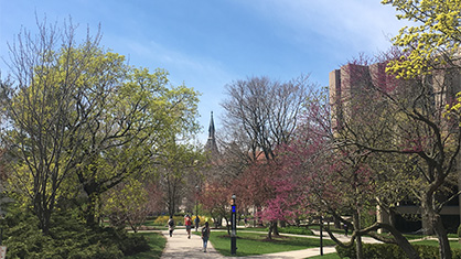 Northwestern campus