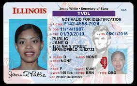 Sample temporary visitor driver's license