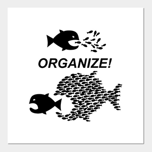 organize.jpg