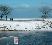 Winter 2008