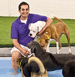 Saqib Nadeem: Gone to the Dogs