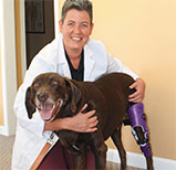 Dagny Laur: Pet Prosthetist