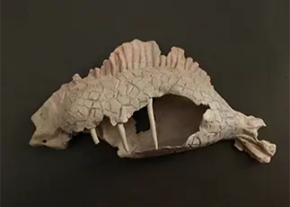 Samantha Skipper's Beached fish