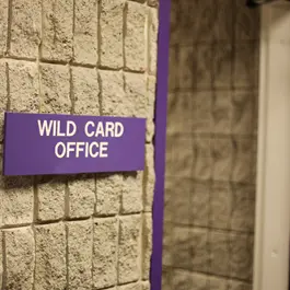 Wildcard Office